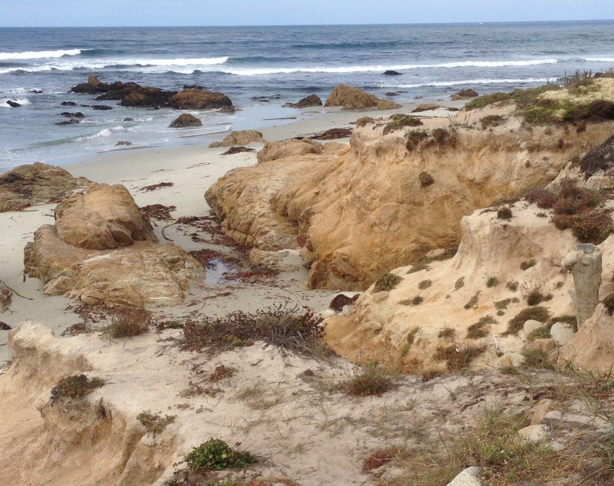 Spanish Bay Land-Waterscape