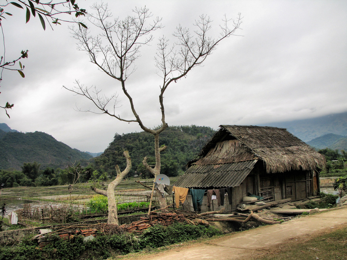 Vietnamese old house